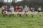 Girls under-15s cross country, 2019 North Eastern Cross Country Champs., Alnwick, Northumberland.  Photo: David T. Hewitson/Sports for All Pics